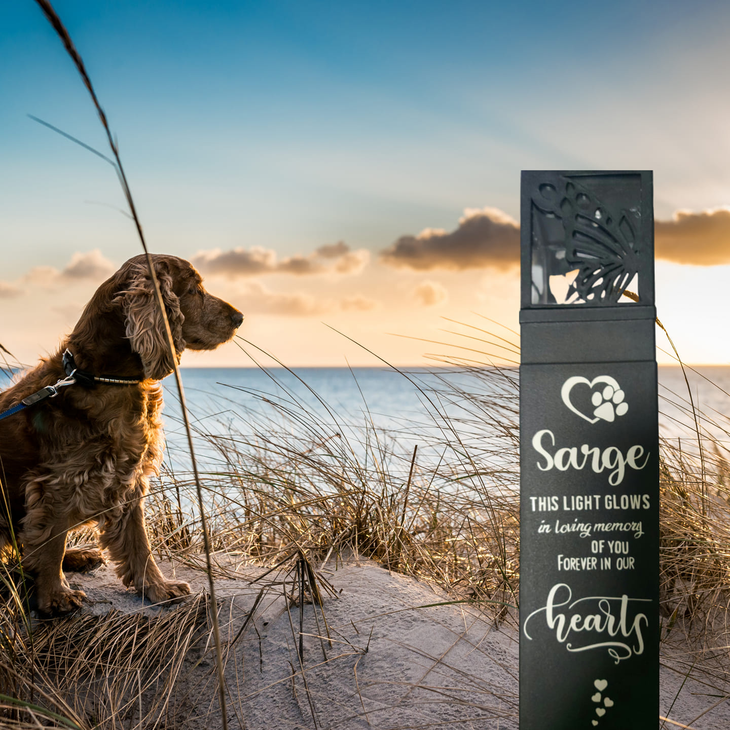 Solar Pet Memorial Image