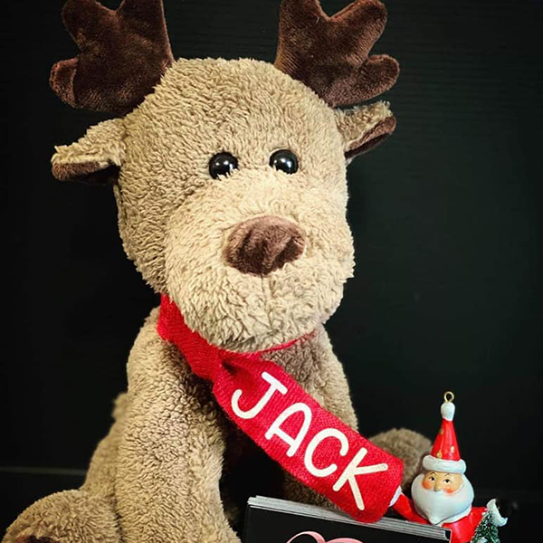 Personalised Plush Image
