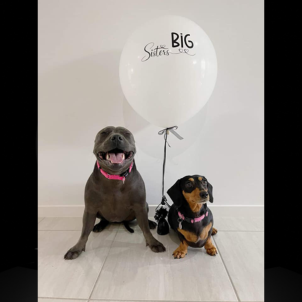 Baby Announcement Image