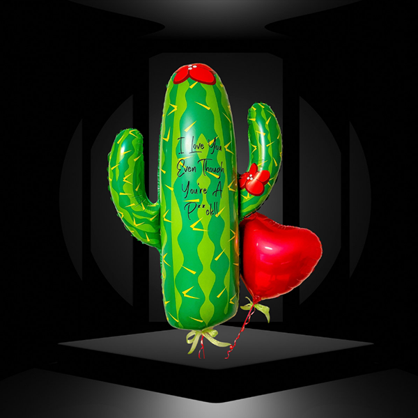 Super Shape Cactus Image