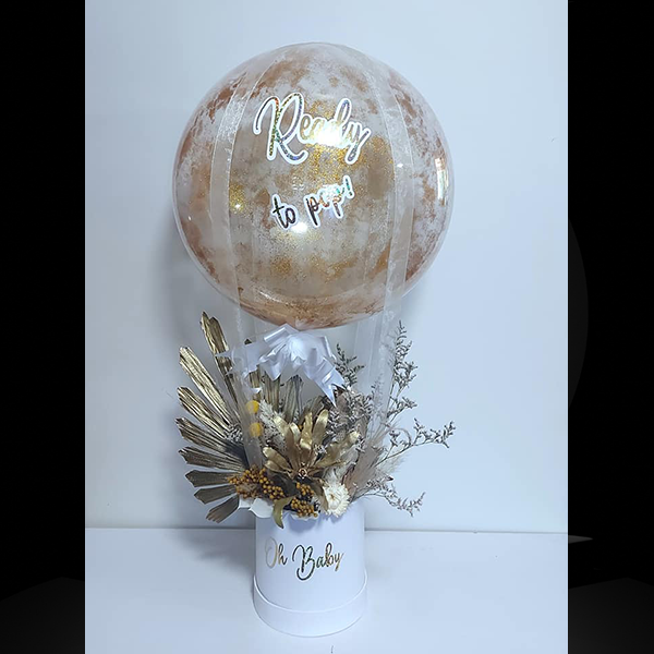 Hot Air Balloon Image