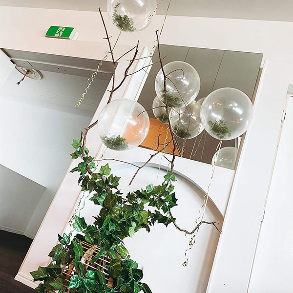 Balloon Tree Image