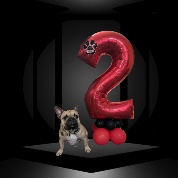 Pet Birthday Image
