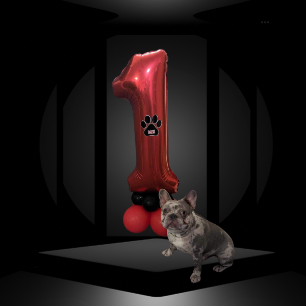 Pet Birthday Image
