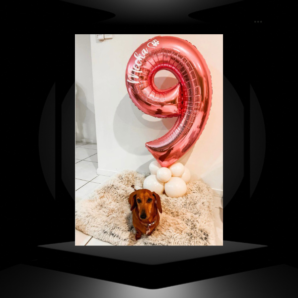 Pet Birthday Image
