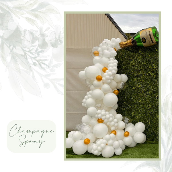 Champagne Spray Image
