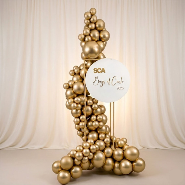 Function Display Image